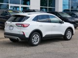 Used 2020 Ford Escape SE image 3