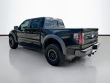 Used 2014 Ford F150 Raptor w/ Equipment Group 801A Luxury image 3