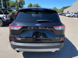 Used 2021 Ford Escape Titanium image 4