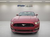Used 2016 Ford Mustang Coupe w/ Interior & Wheel Package image 2