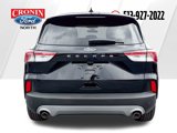 Used 2020 Ford Escape SE image 6