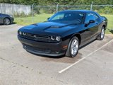 Used 2023 Dodge Challenger SXT image 5