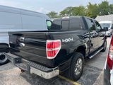 Used 2013 Ford F150 XLT w/ Luxury Equipment Group image 3