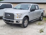 Used 2017 Ford F150 XLT w/ Equipment Group 302A Luxury image 4