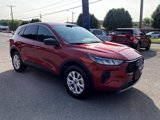 Used 2023 Ford Escape Active w/ Tech Pack #1 image 3