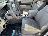 Used 2009 Ford Escape XLT image 4
