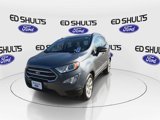 Used 2021 Ford EcoSport SE image 3