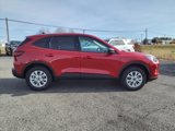 New 2025 Ford Escape Active w/ Tech Pack #1 image 3