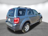 Used 2011 Ford Escape XLT image 5
