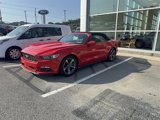 Used 2015 Ford Mustang Convertible w/ Equipment Group 051A image 3