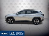 Used 2022 Hyundai Tucson Limited image 3