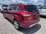 Used 2016 Ford Escape SE w/ Equipment Group 201A image 3