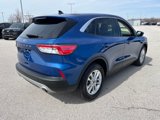 Used 2022 Ford Escape SE w/ Cold Weather Package image 4
