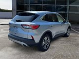 Used 2022 Ford Escape SEL image 6