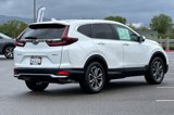 Certified 2022 Honda CR-V EX-L image 4