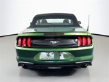 Used 2023 Ford Mustang Premium image 4