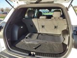 New 2025 GMC Terrain Elevation image 5