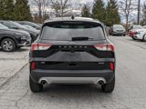 Used 2021 Ford Escape SE image 5