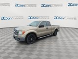 Used 2013 Ford F150 XLT w/ Luxury Equipment Group image 4