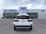 New 2025 Ford Escape Active w/ Tech Pack #1 image 5