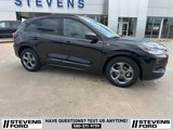 Used 2024 Ford Escape ST-Line w/ Tech Pack #1 image 3