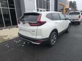 Used 2020 Honda CR-V EX-L image 6