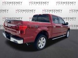 Used 2019 Ford F150 XLT w/ Equipment Group 302A Luxury image 5