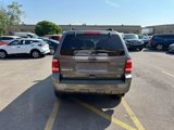 Used 2010 Ford Escape XLT image 6
