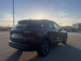Used 2023 Ford Escape ST-Line w/ Equipment Group 301A image 6