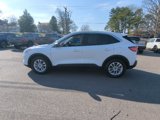Used 2022 Ford Escape SE w/ Convenience Package image 4