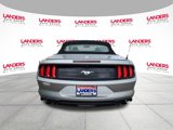 Certified 2022 Ford Mustang Premium image 4