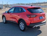 Certified 2024 Ford Escape Active image 4