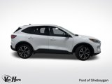Certified 2022 Ford Escape SE w/ SE Sport Appearance Package image 3