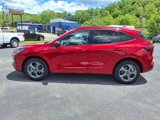 Used 2024 Ford Escape ST-Line image 2