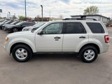 Used 2009 Ford Escape XLT image 5