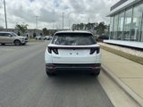Used 2022 Hyundai Tucson SEL w/ Cargo Package image 4