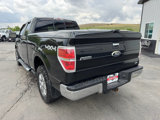 Used 2010 Ford F150 XLT image 3