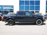Used 2019 Ford F150 XLT w/ Equipment Group 302A Luxury image 2