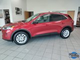 Used 2022 Ford Escape SE w/ Convenience Package image 5