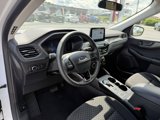 Used 2023 Ford Escape Active image 4