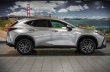 Used 2023 Lexus NX 250 FWD image 5