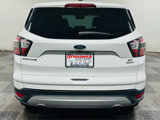 Used 2017 Ford Escape SE w/ SE Cold Weather Package image 5