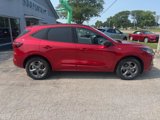 New 2024 Ford Escape ST-Line w/ Equipment Group 301A image 2