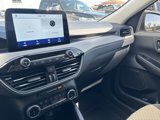 Used 2022 Ford Escape SE w/ Convenience Package image 5