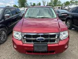 Used 2012 Ford Escape XLT image 2