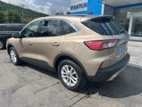 Used 2020 Ford Escape SE image 4