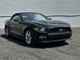 Used 2016 Ford Mustang Premium image 4