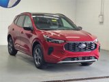 Used 2024 Ford Escape ST-Line w/ Tech Pack #1 image 3
