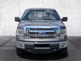 Used 2014 Ford F150 XLT w/ Equipment Group 302A Luxury image 3