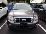 Used 2010 Ford Escape XLT image 2